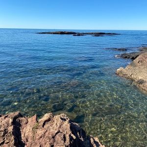 Meet your Posher, Jayden